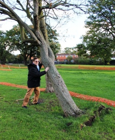 Cllr Hugh Rayner attempts to right a fallen tree.